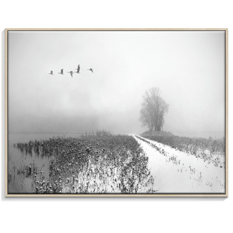 Print on Canvas, 41cm H x 51cm W, Timber Floater Frame