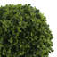 Artificial Boxwood Topiary-382838813