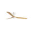 Punt Ceiling Fan
