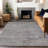 Machine Washable Indoor/Outdoor Claudian ACN1631 Pewter Rug-104235972