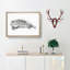 Feather by Jean Bernard - Picture Frame Drawing Print-55536022-55536023