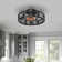 Florrine 19.6'' Ceiling Fan with the Remote Control