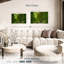 Bambou Alvord-107688534