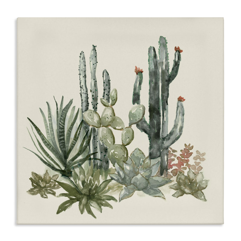Toile Mojave Succulents, design par Nan, H 36 po x l 36 po