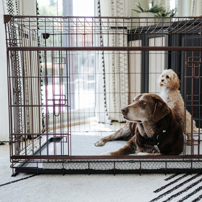 Extra Large Bronze Metal Dog Crate with Sliding Door