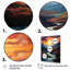 Palette majestueuse Barnali-918049925-918049924