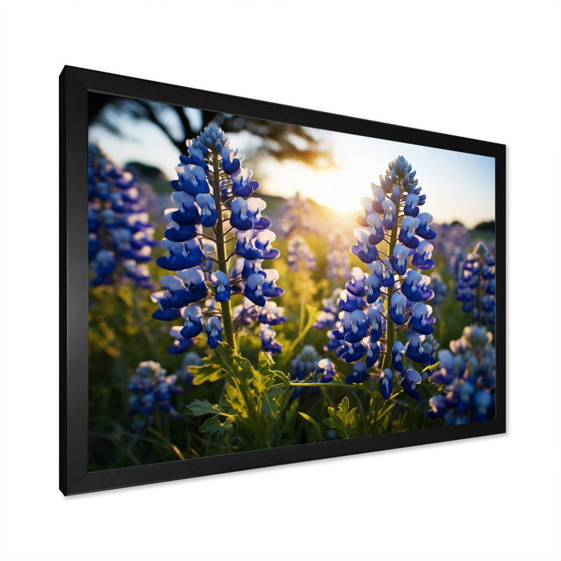 «Blue Bonnets Field Photo IV», reproduction d'art sur toile, H 24 po x l 32 po x P 1 po, Cadre photo noir