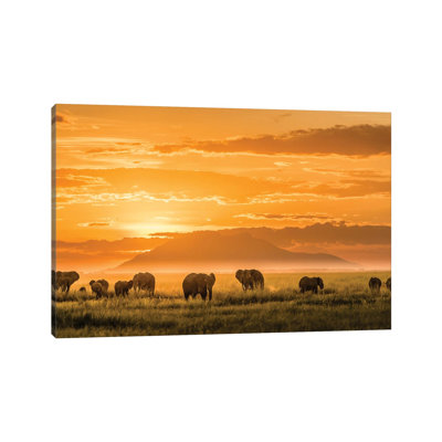 Golden Africa by John J. Chen - Wrapped Canvas Print