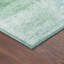 Tapis abstrait intérieur / extérieur lavable à la machine Chantille ACN2402-779541755