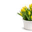Remy Hyacinth Arrangement-899542454