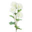 Plastic, Silk Artificial Arrangement-89222281