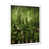 White Single Picture Framed