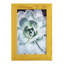 Pastel Succulent Beauty IV, reproduction d'art encadrée-251428981-251428987