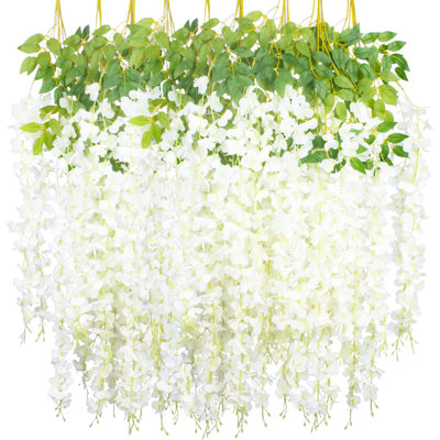 Wisteria dans un panier