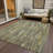 Machine Washable Indoor/Outdoor Christain ACN1314 Aloe Rug-102542120