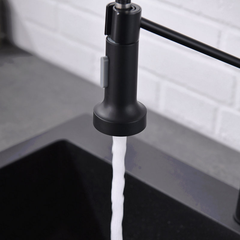 Robinet de cuisine à poignée simple en acier inoxydable avec douchette extractible, Noir