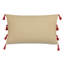 Joaquin Lumbar Pillow Cover & Insert