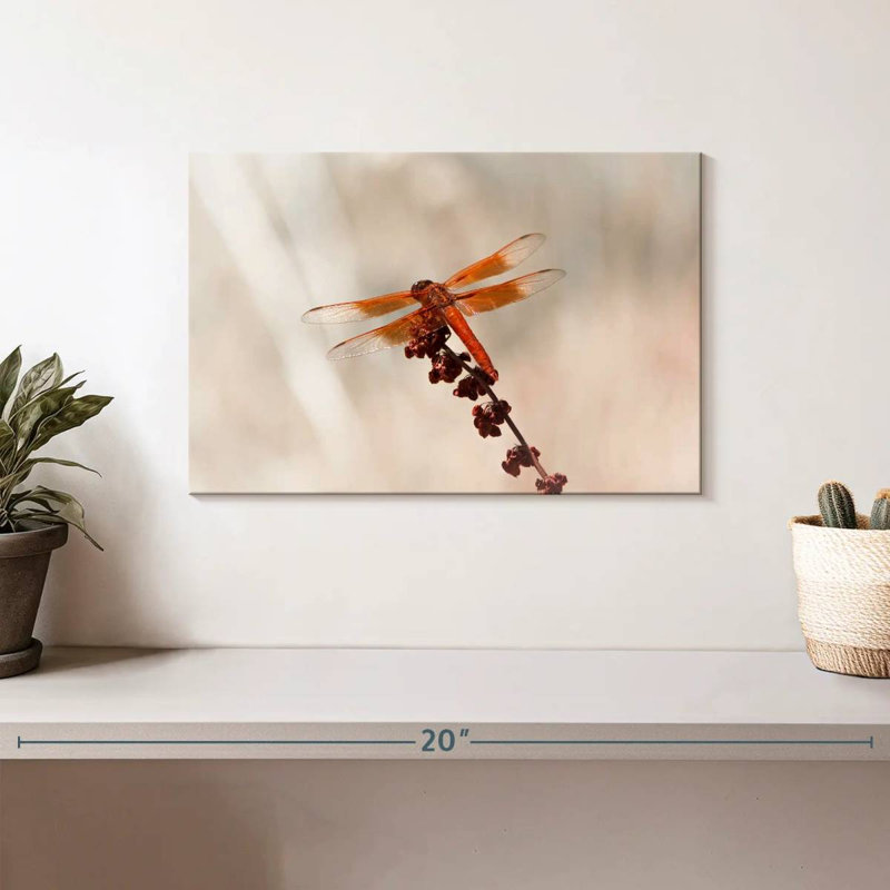 Chlorogomphus Dragonfly, 8" H x 12" W