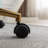 Miley Task Chair, Adjustable Height 360 revolving Home Office Chair,Makeup Chair-293934560-293934563
