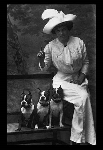 «Mme. «Rhoades and Her Three Boston Terriers», reproduction de photo, H 42 po x l 28 po x P 1,5 po