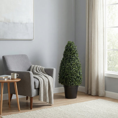 Topiaire de buis Pure Garden
