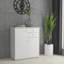 Amandla 2 Drawer 73.7Cm W Combi Chest-1617533920