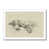 White Framed Paper Print is unavailable