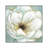 Soft Teal Splendor by Carol Robinson - Print on Canvas-226468214-150505224