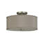 2 - Light Semi Flush Mount
