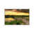 White Floater Framed