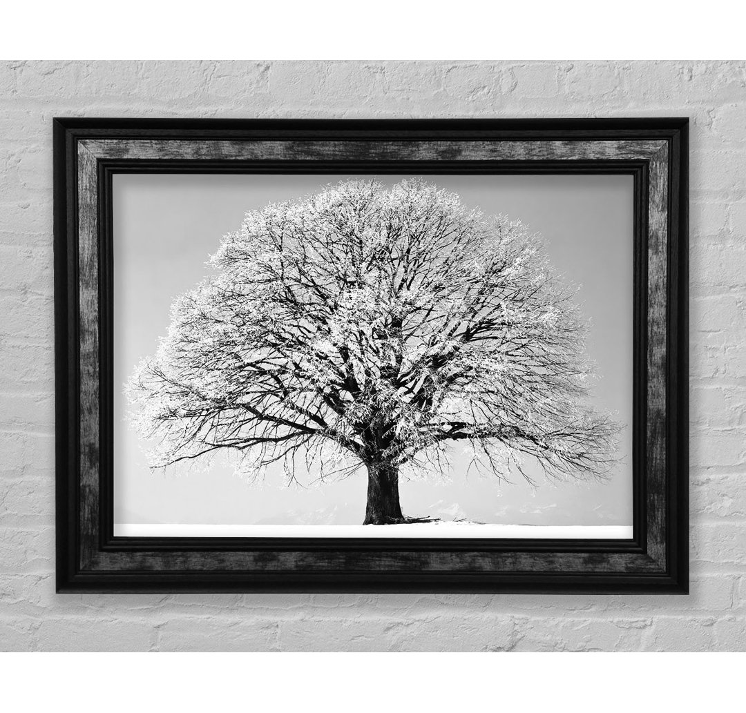 Winter Snow Tree B N W - Einzelner Bilderrahmen Kunstdrucke