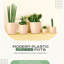 Pots à plantes d'intérieur avec drainage-1952380643