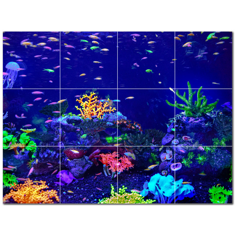 Corail photo 12 x 12