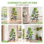 Plant Stand-1560094123