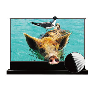 92 Inch  Vividstorm S Pro Motorized Tension Floor Rising Ust Alr Projector Screen for home theater-black Housing