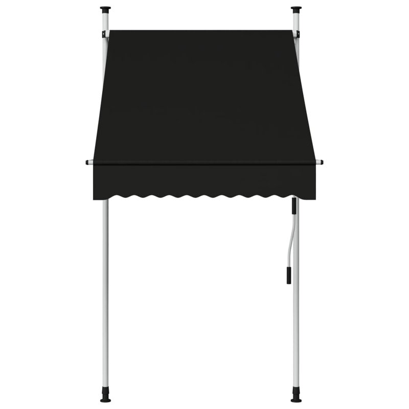 VidaXL 40'' W x 120'' D Polyester Anthracite Cover Retractable Door / Window Awning