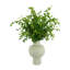 Organic Modern Nandina Arrangement