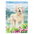 Goldendoodle (uméro/bleu)