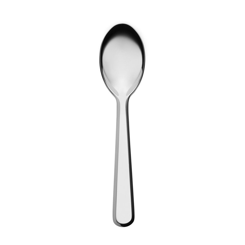 Amici Stainless Steel Teaspoon