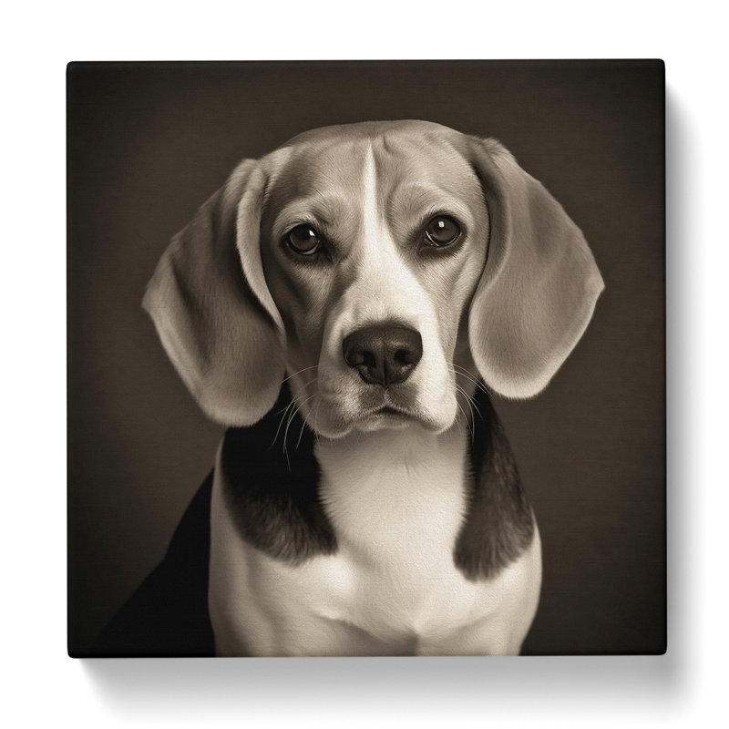 Beagle Photograph No.1 - No Frame Print, 50cm H x 50cm W x 3cm D