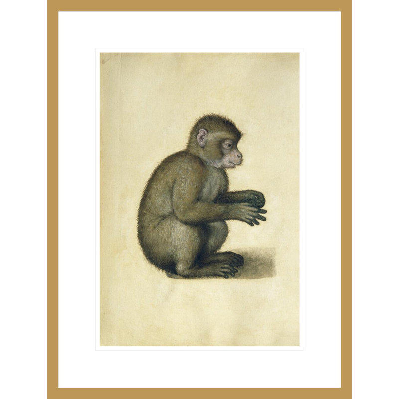 «A Monkey» par Albrecht Dürer, impression giclée sur cadre, H 21,75 po x l 16,65 po