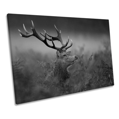Wild Stag Deer - Wrapped Canvas Print