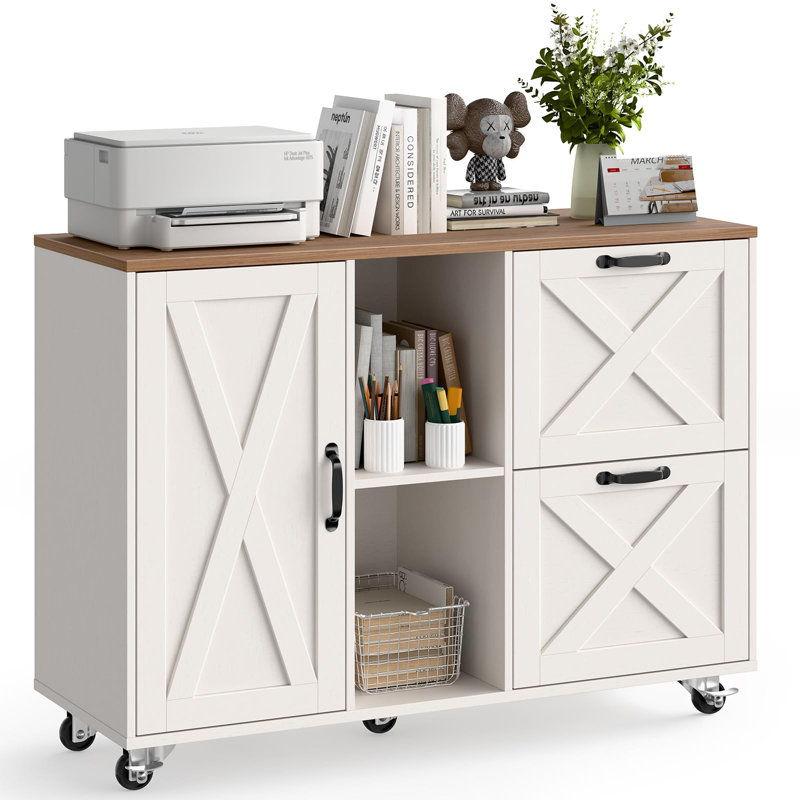 Lateral File Cabinet With 2 Drawers And Door