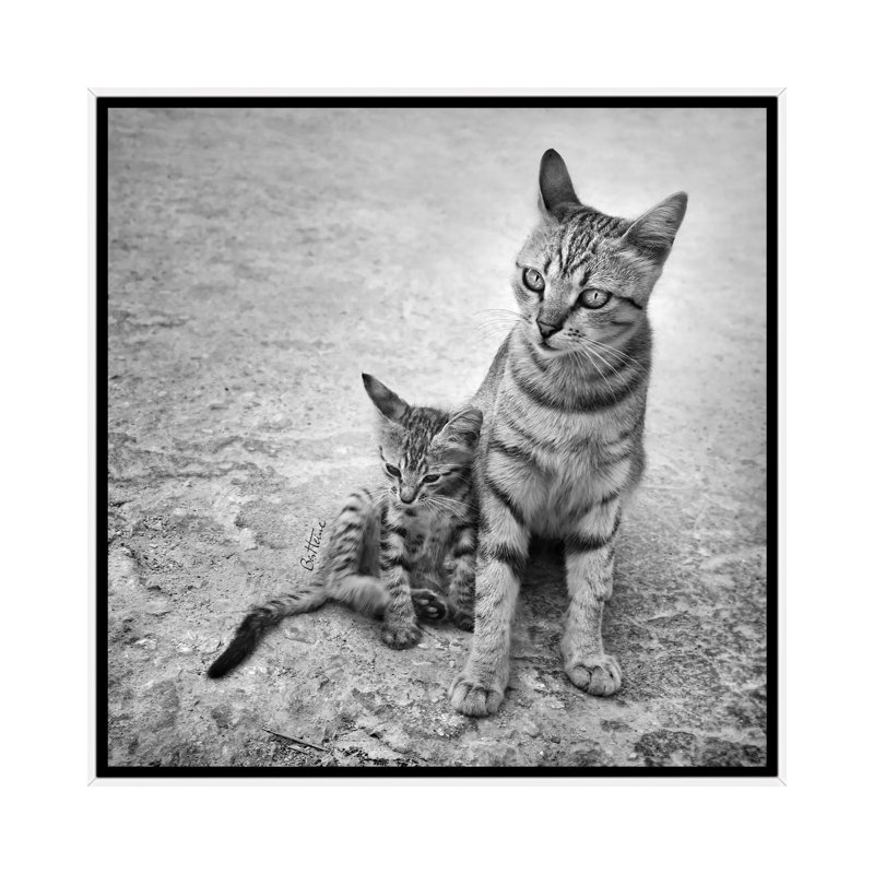 Never Leave Me Alone by Ben Heine - Print on Canvas, 93.98 cm H x 93.98 cm W, White Framed