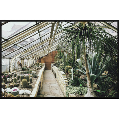 Botanical Stories 013 - Single Picture Frame Rectangle Print