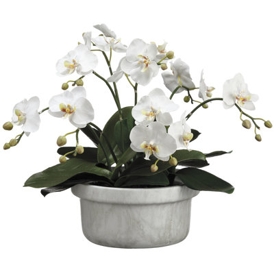 21.25'' Faux Birch Plant in Terracotta Pot