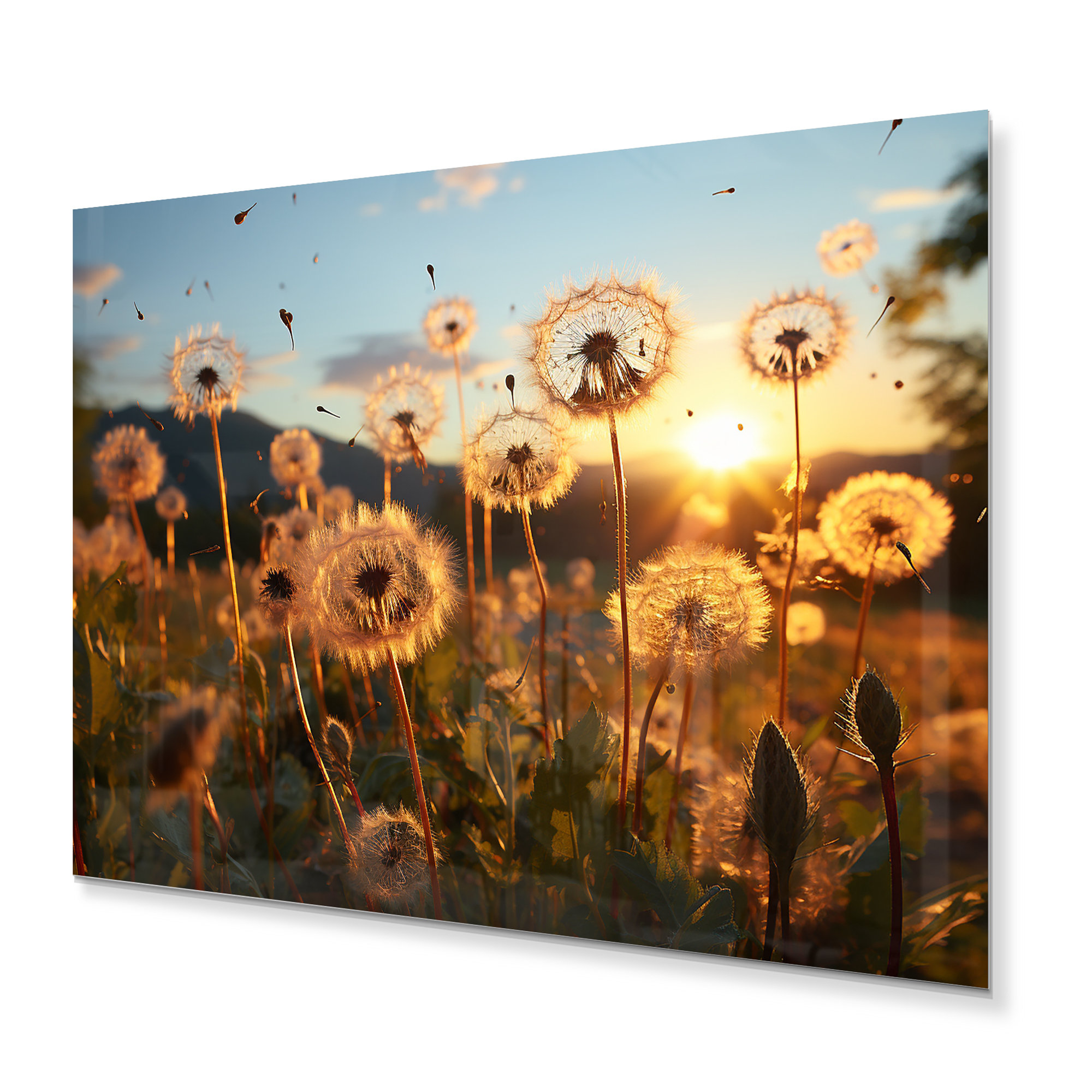 Winston Porter Mountain Dandelion Field III - Floral Metal Wall Decor ...