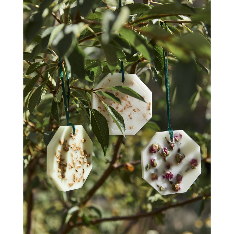 Orange Blossom Botanical Pallet