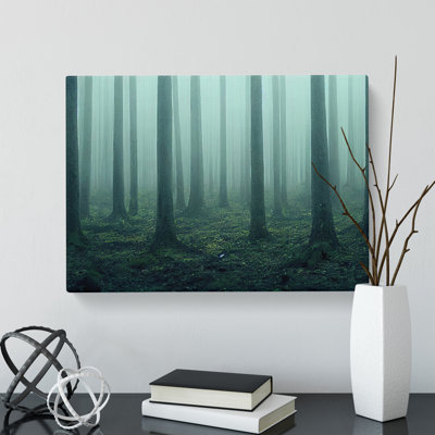 A Captivating Forest - Wrapped Canvas