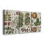 Exotic Botanique I - Ensemble de 3 toiles tendues-524999514